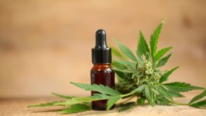 Cannabis