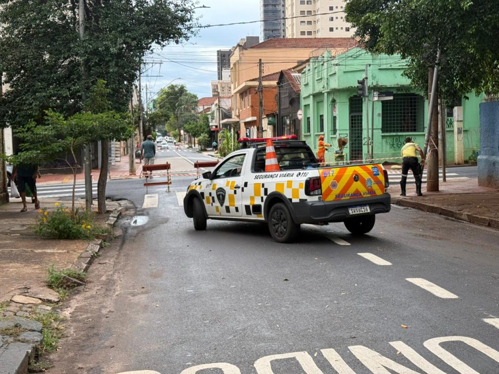Galho de árvore cai e bloqueia trecho da rua Florêncio de Abreu