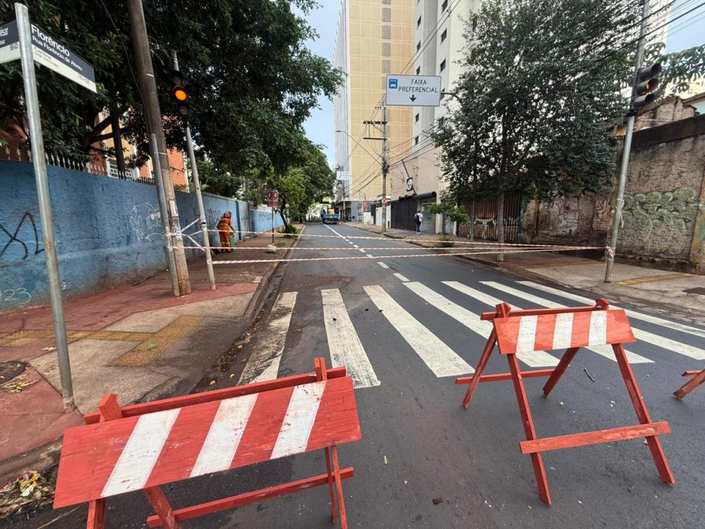 Galho de árvore cai e bloqueia trecho da rua Florêncio de Abreu