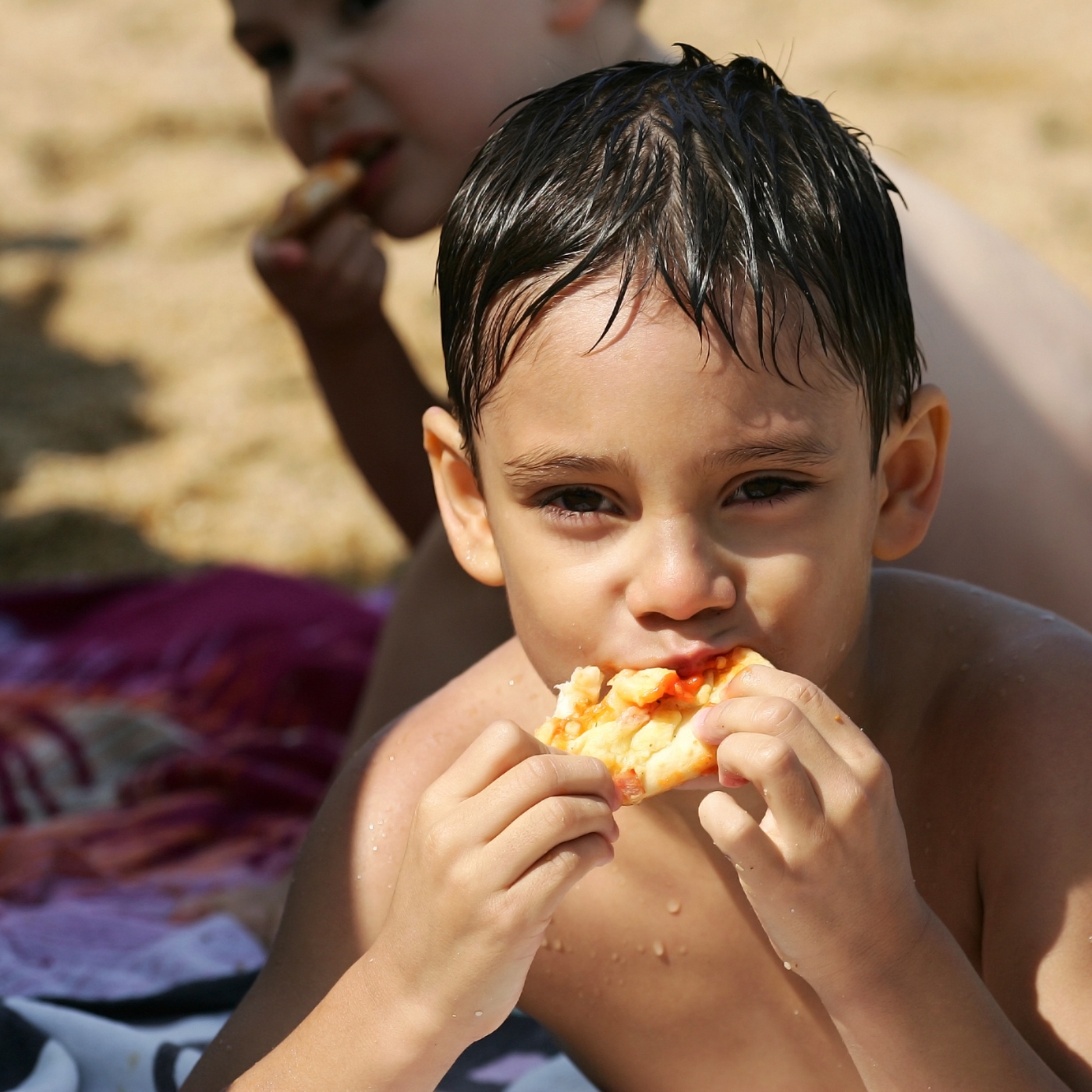 alimentos