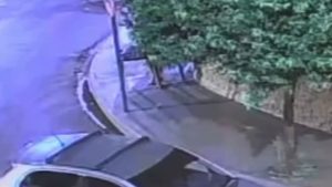 Mulher é morta a tiros pelo ex-companheiro em Morro Agudo (SP)
