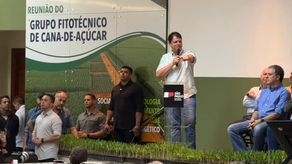 candidatos