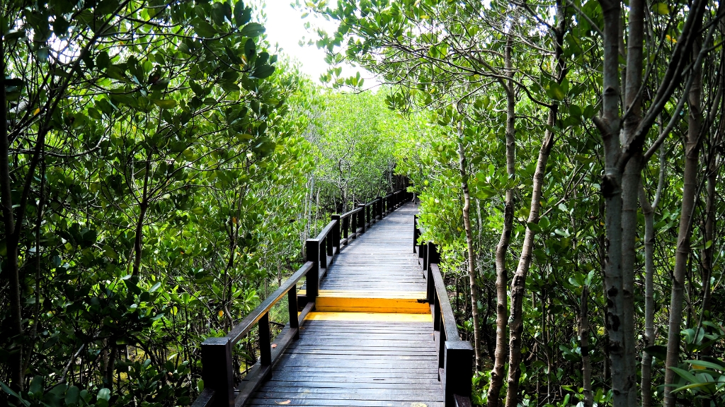 natureza