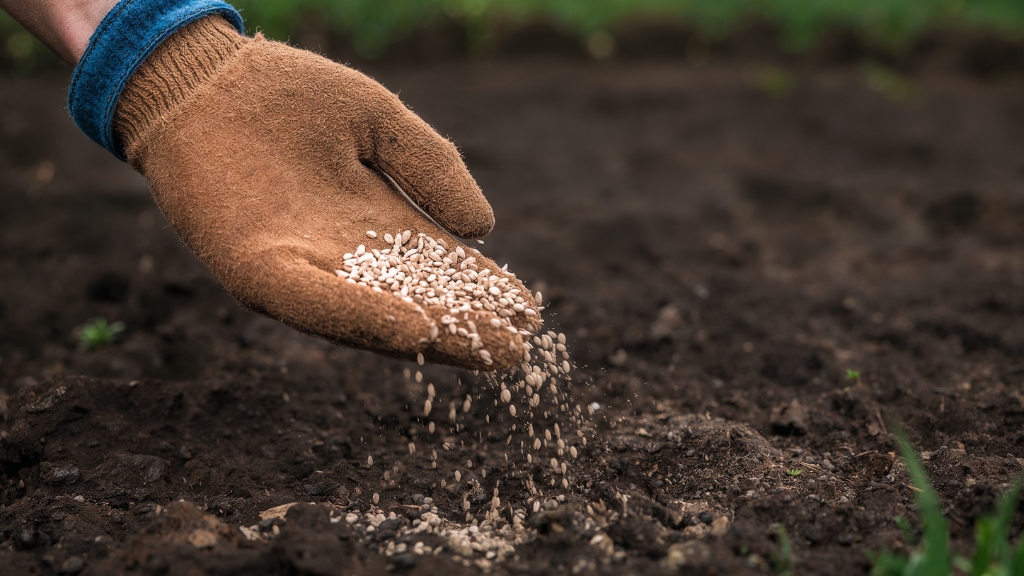 Fertilizantes