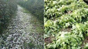 Granizo