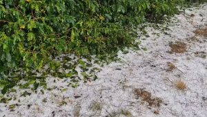 Granizo